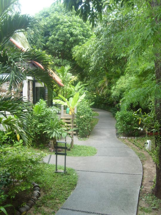 Weg zu unserem Bungalow NH Collection Samui Peace Resort