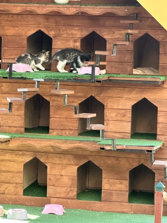 Außenansicht Hotel Delphin Imperial