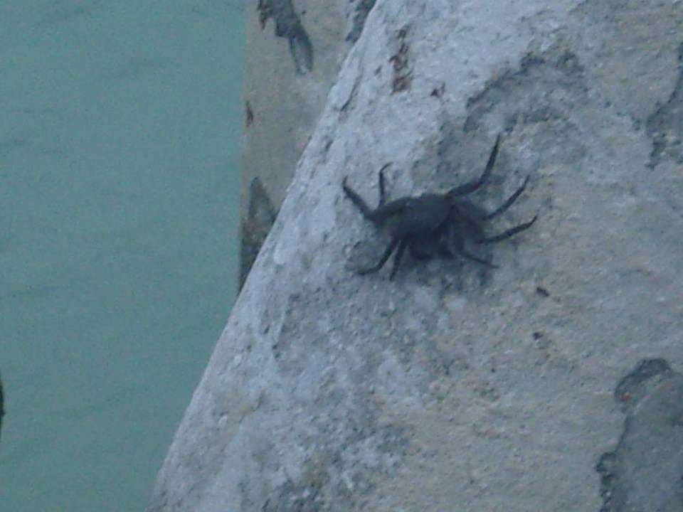 Mein Sternbild ist auch vorhanden Summer Island Maldives