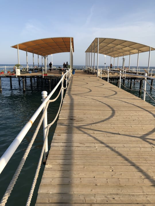 Strand Papillon Ayscha