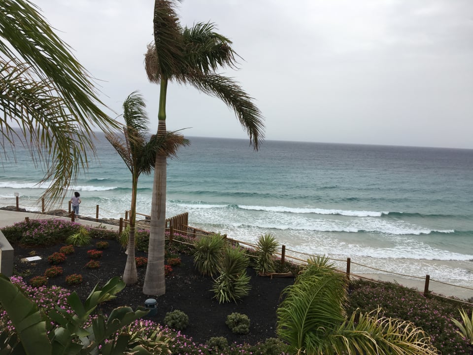 Strand Royal Palm Resort & Spa - Adults only