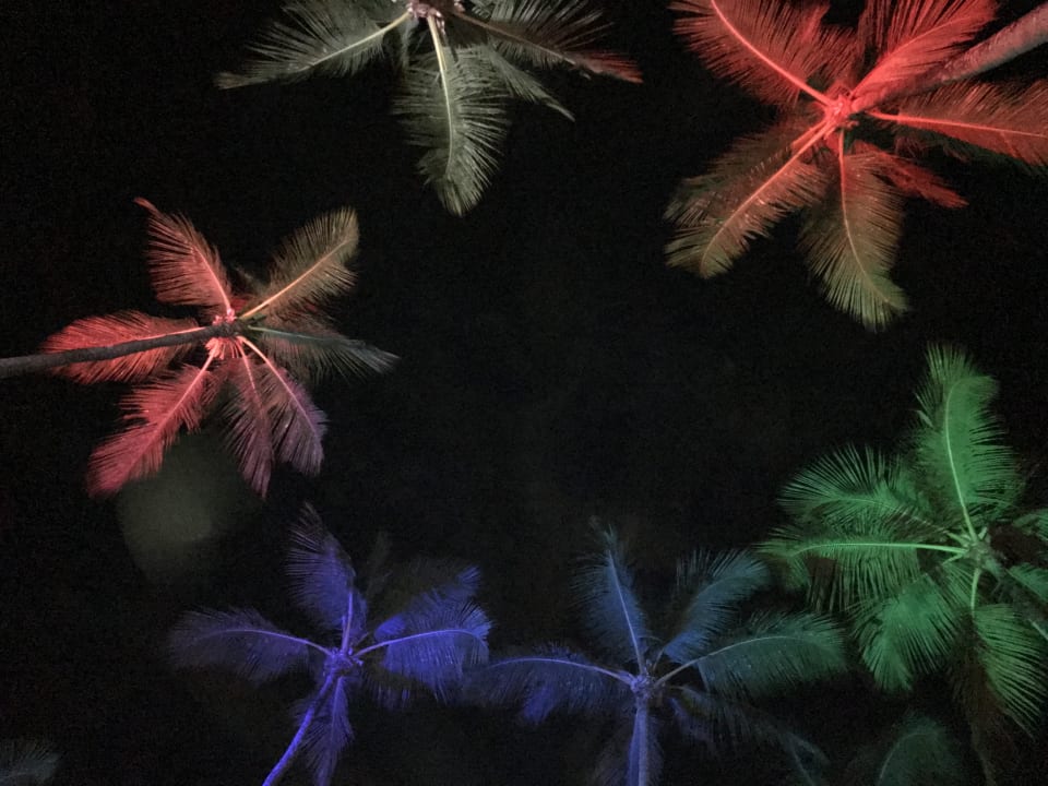 Gartenanlage Viva Wyndham Samaná