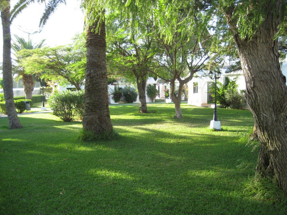 Ein Traum Canary Garden Club