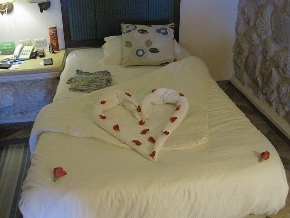 Zimmer Pickalbatros Citadel Resort