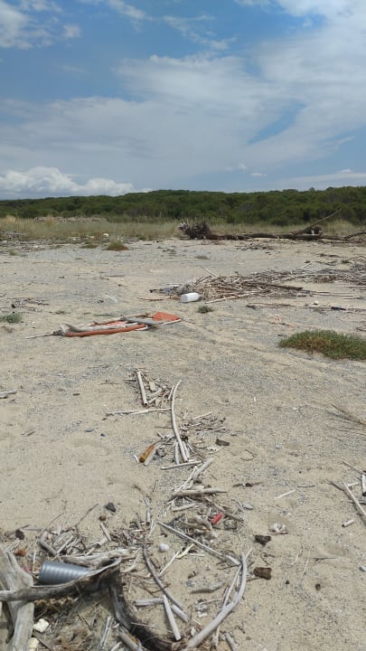 Außenansicht TUI MAGIC LIFE Calabria