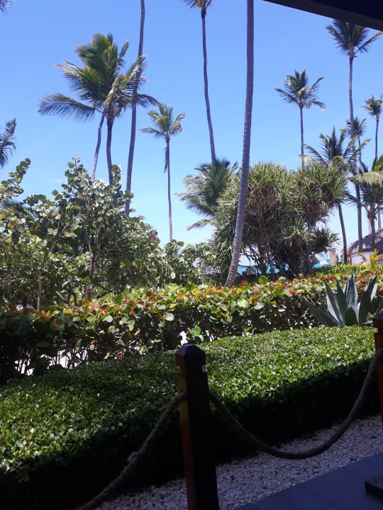 Gartenanlage Hotel Grand Palladium Palace Resort, Spa & Casino