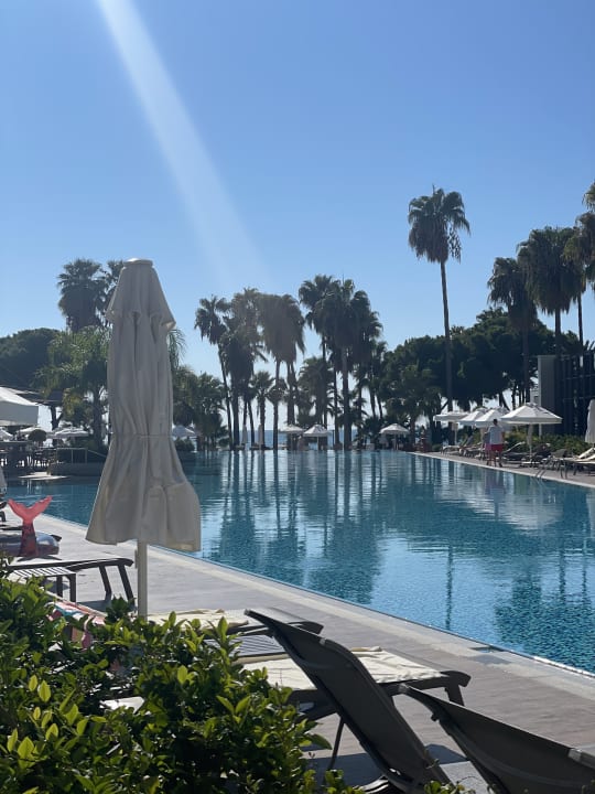 Pool Acanthus Cennet Barut Collection