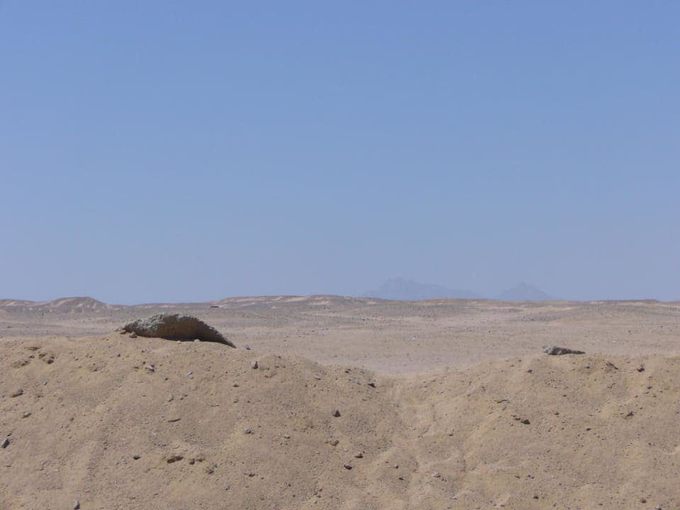 Nochmal Blick vor dem Eingang Premier Le Reve Hotel & Spa