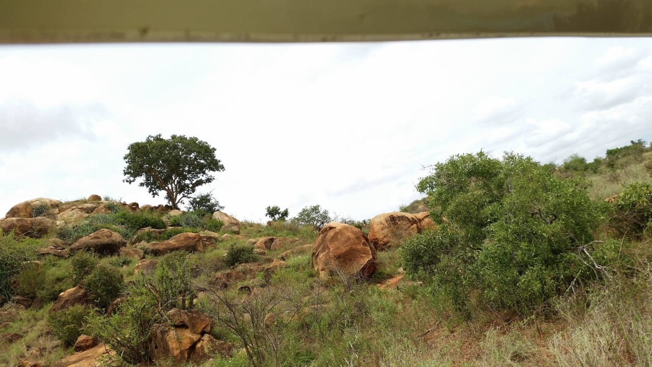 Hotel Ngutuni Safari Lodge Game Sanctuary Ngutuni Safari Lodge