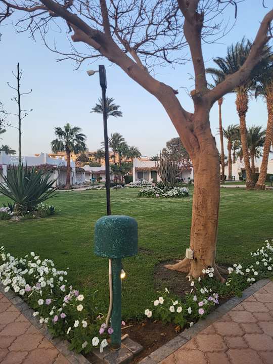 Außenansicht Shams Safaga Resort