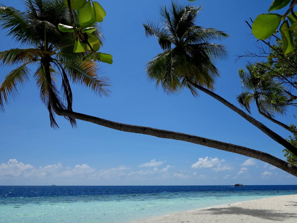 Oststrand Diamonds Thudufushi