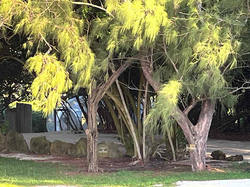 Außenansicht Bubble Lodge Ile aux Cerfs Island