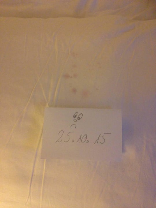 Ohne Worte Crystal Paraiso Aqua Collection