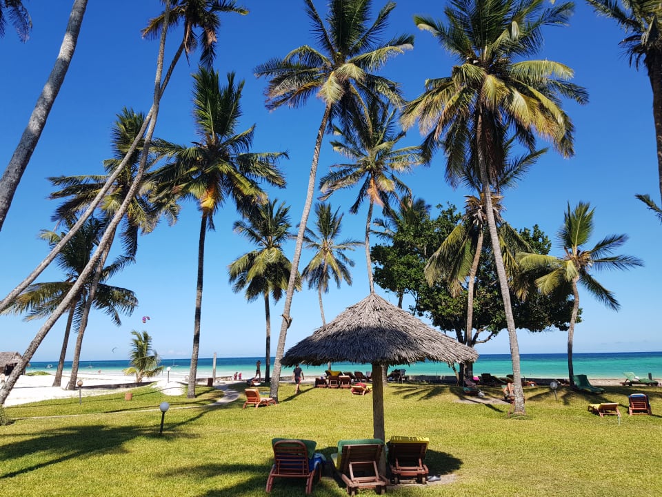 Gartenanlage Neptune Paradise Beach Resort & Spa