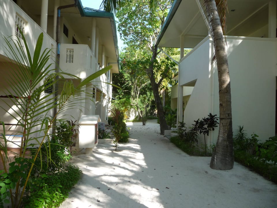 Standard Zimmer Eri Maldives