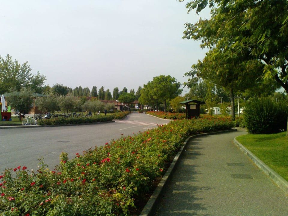 Blick in Richtung Rezeption/Hoteleinfahrt The Garda Village