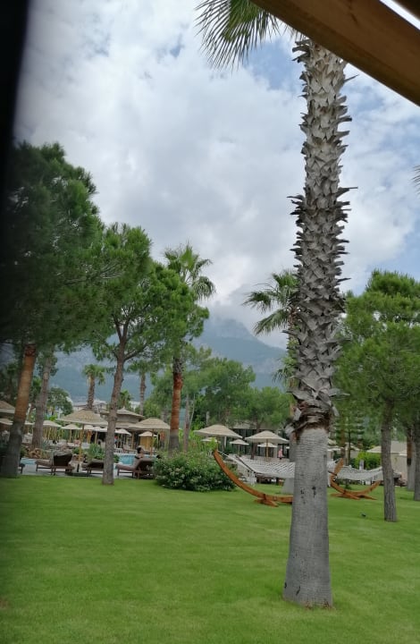 Gartenanlage Balmy Beach Resort Kemer