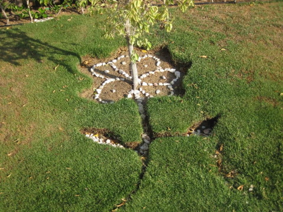 So nett gemacht  Cleopatra Luxury Resort Makadi Bay