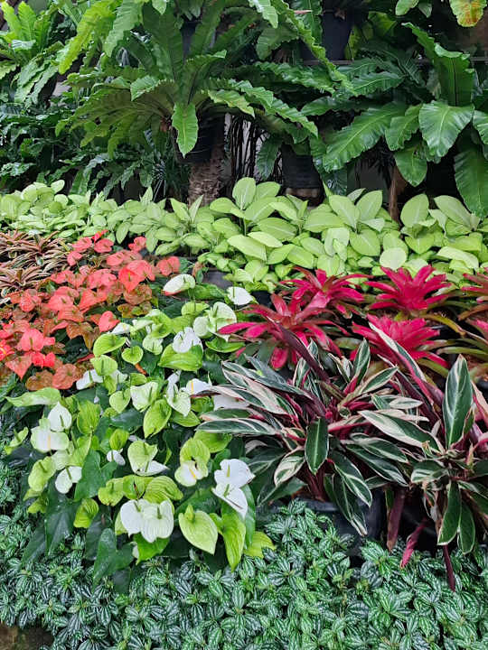 Gartenanlage Laluna Hotel & Resort