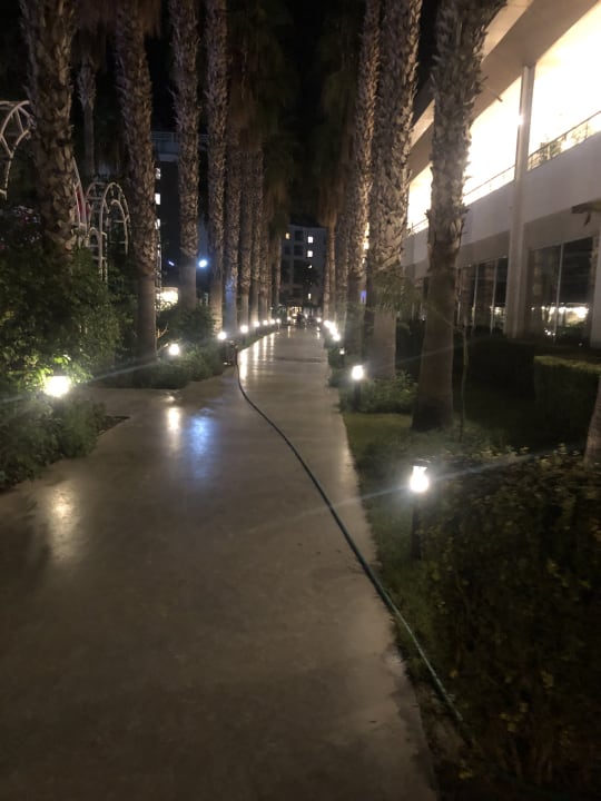 Gartenanlage Hotel Royal Garden Beach