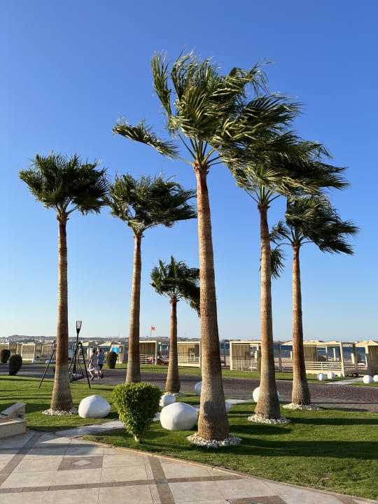 Gartenanlage Premier Le Reve Hotel & Spa