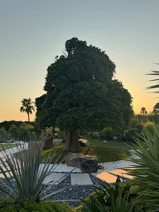 Gartenanlage Paloma Finesse