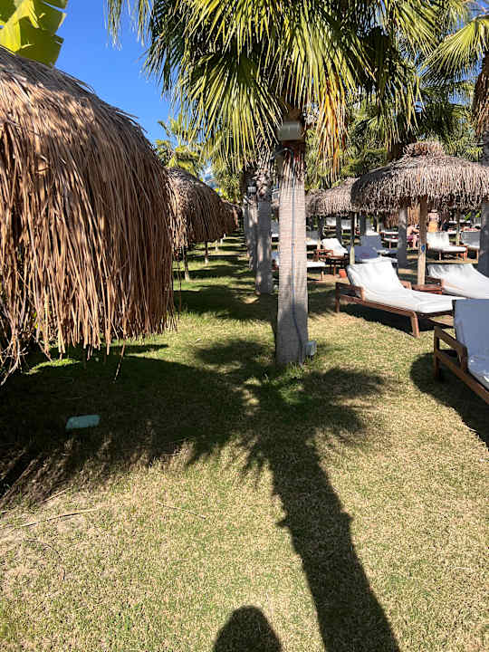 Gartenanlage Rubi Platinum Sign