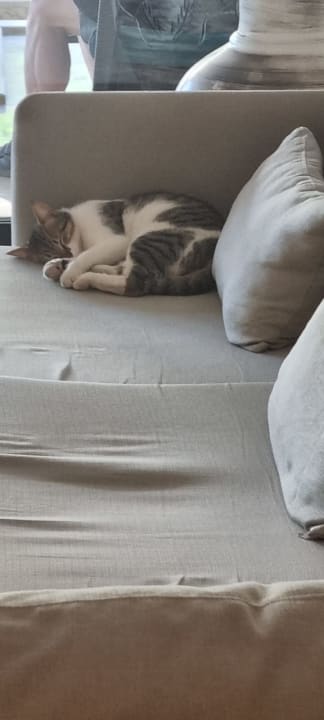 Sonstiges Nerton Hotel - Erwachsenenhotel ab 16 Jahren