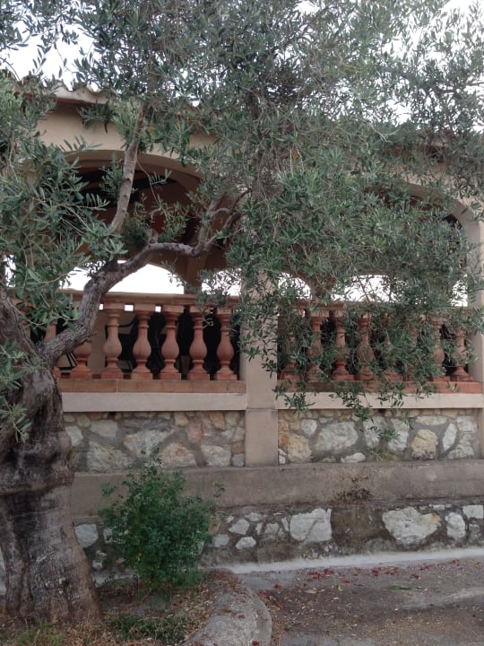 Gartenanlage Finca Hotel & Spa Monnaber Nou