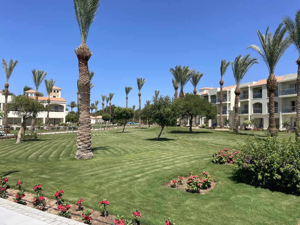 Gartenanlage Pickalbatros Dana Beach Resort - Hurghada