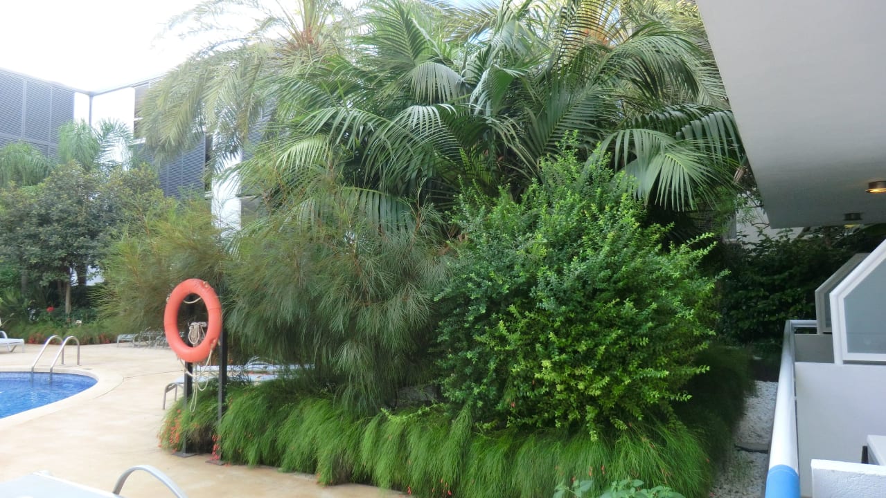 Pool für Erwachsene, Garten Las Gaviotas Suites Hotel