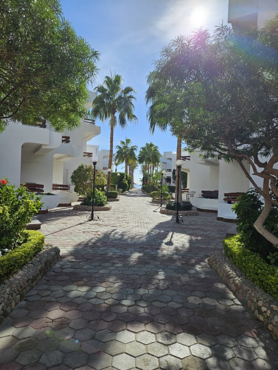 Gartenanlage Marlin Inn Azur Resort