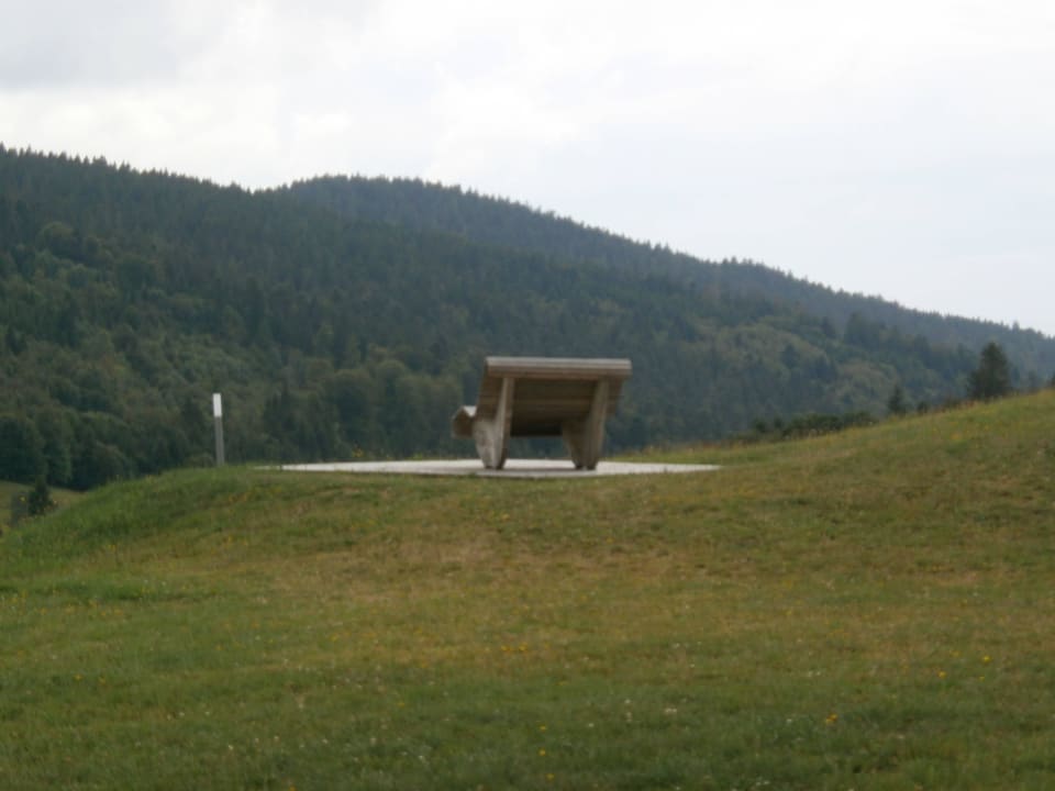 Himmelsliege vor dem Wellnessbereich derWaldfrieden naturparkhotel