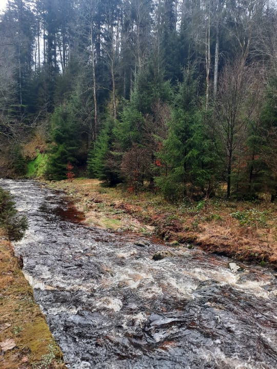 Ausblick Wellnesshotel Forsthaus Auerhahn