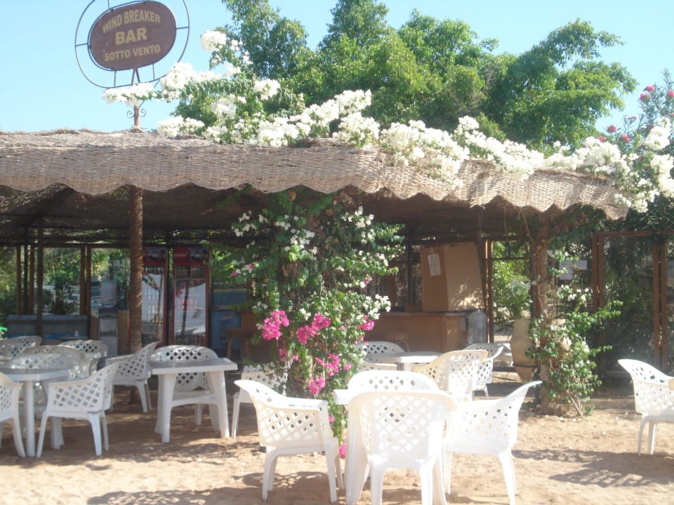 Eine der Bars Fort Arabesque Resort, Spa & Villas