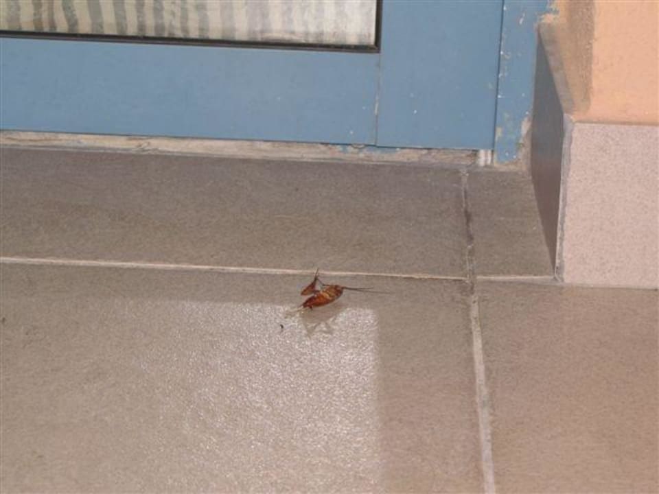 Uwaga na drzwi tarasowe Apartamentos Cordial Mogán Valle