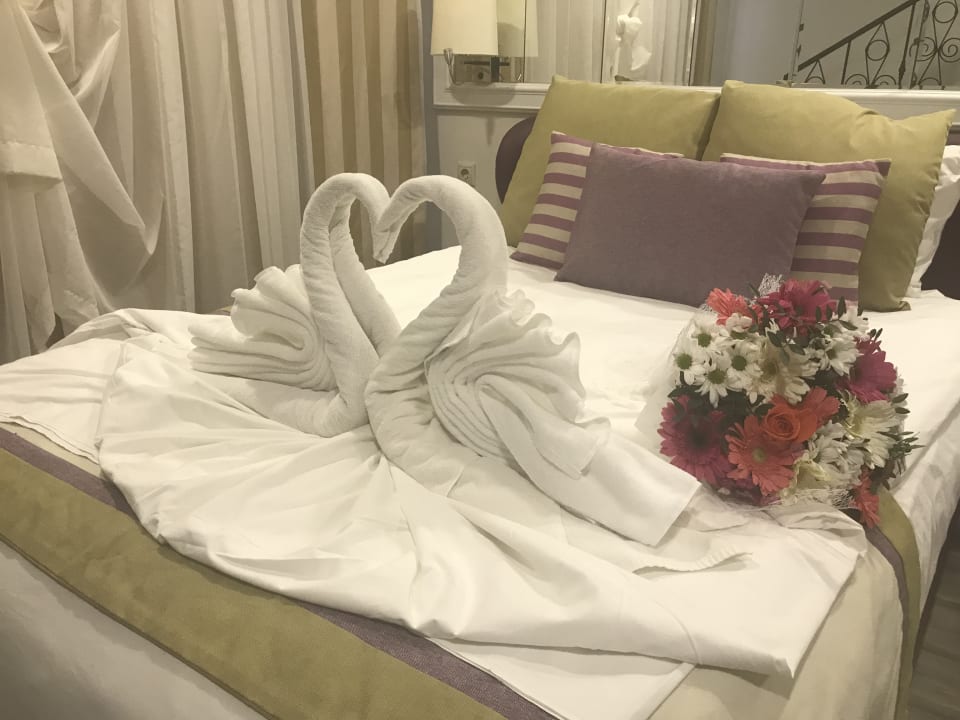 Zimmer Hotel Delphin Diva