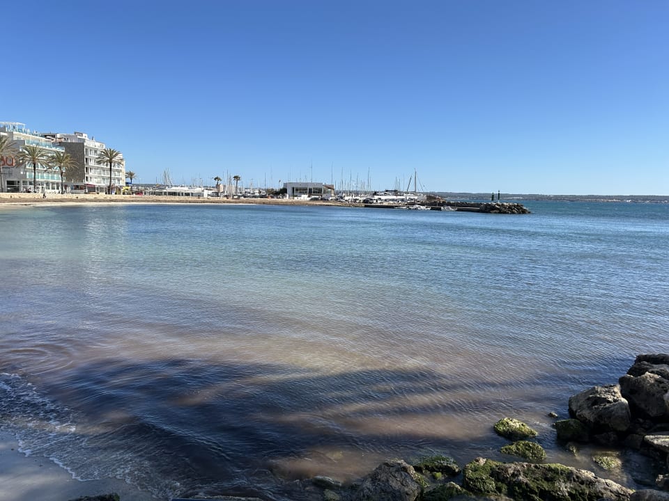 Strand JS Palma Stay