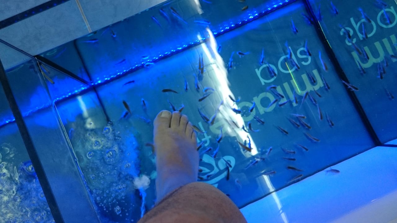 Fische Party Hotel Golden Sands - Adults only