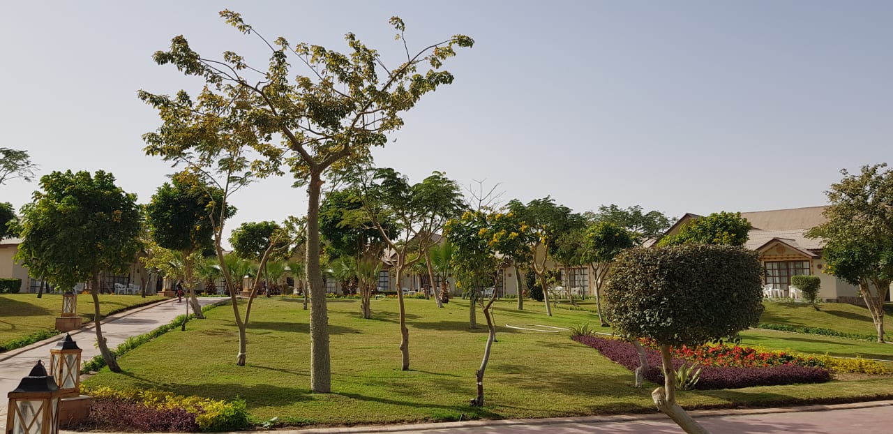 Garten Pickalbatros Jungle Aqua Park Resort - Neverland Hurghada