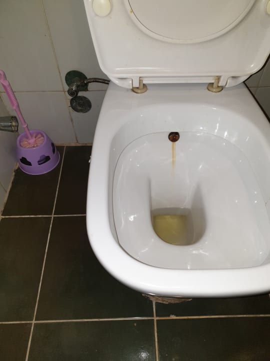 Zimmer Hotel Falcon Naama Star