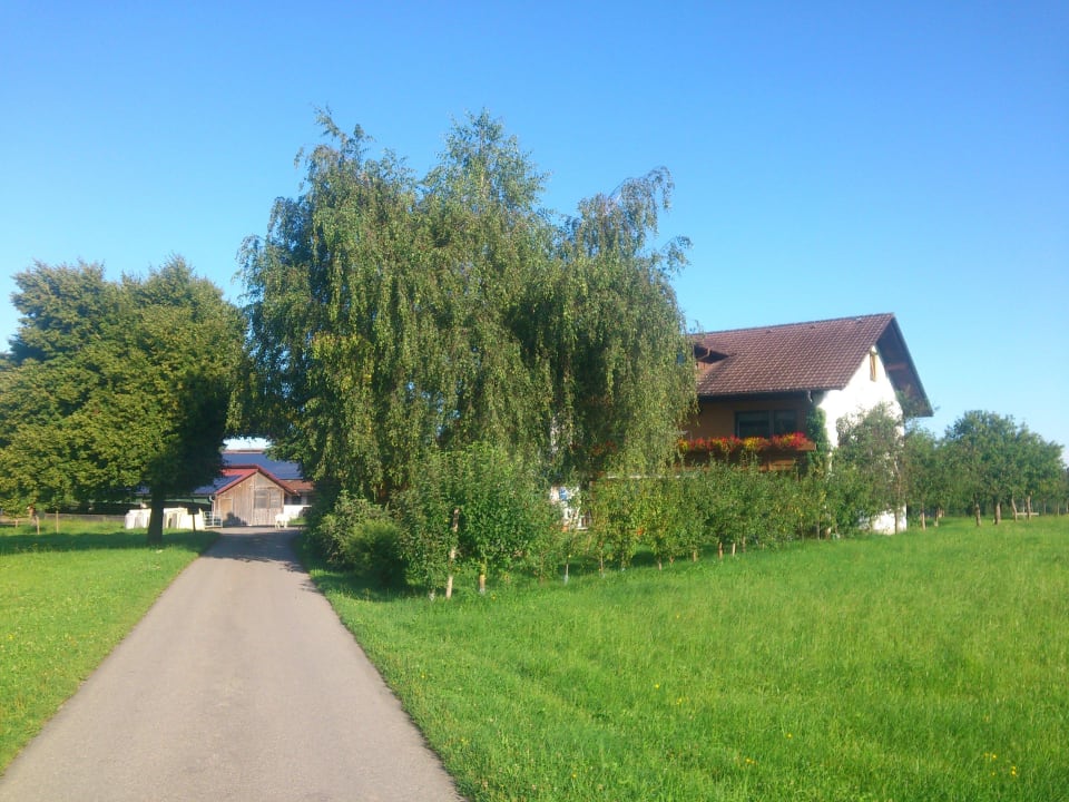 Zufahrt Ferienhof Rogg