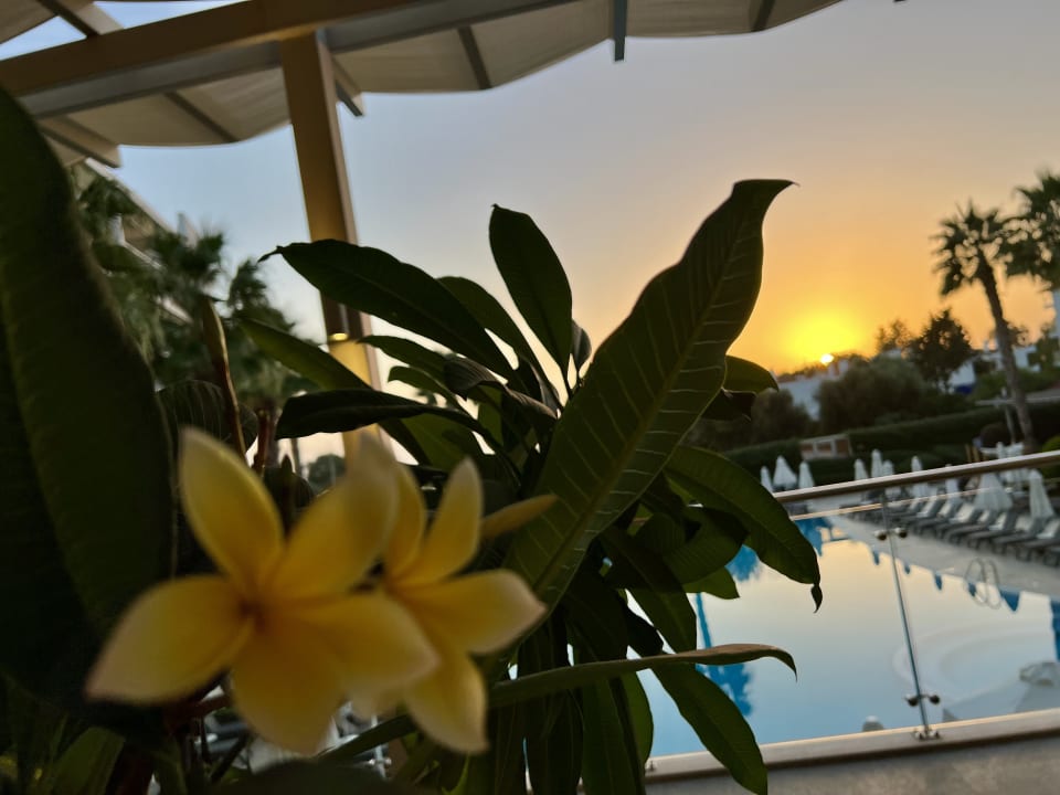 Ausblick TUI BLUE Barut Andız - All Inclusive - Adults Only