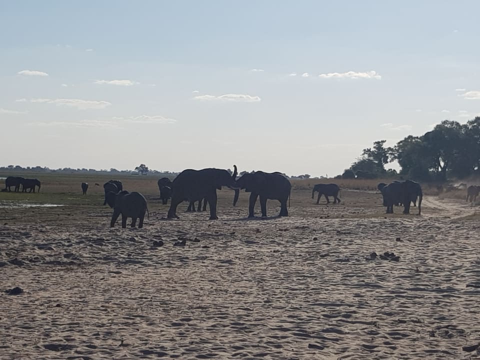 Sport & Freizeit Hotel Ndhovu Safari Lodge