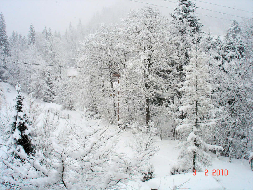 Ausblick vom Balkon Kräuterpension Aloisia