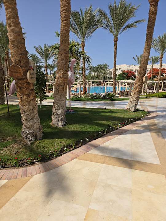 Pool Hotel JAZ Makadi Star & Spa