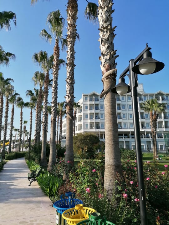 Gartenanlage Royal Atlantis Beach Hotel
