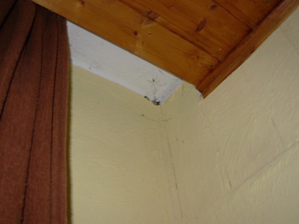 Zimmerdecke Pension Fischer