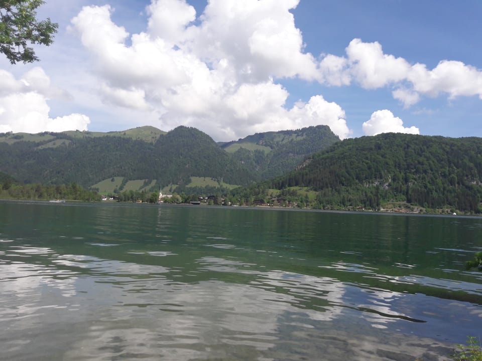 Ausblick Hotel Bellevue am See