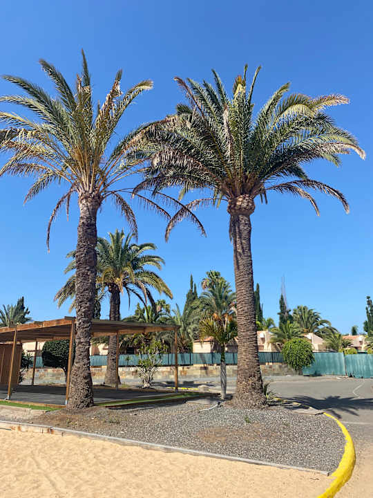 Sport & Freizeit Suites & Villas by Dunas